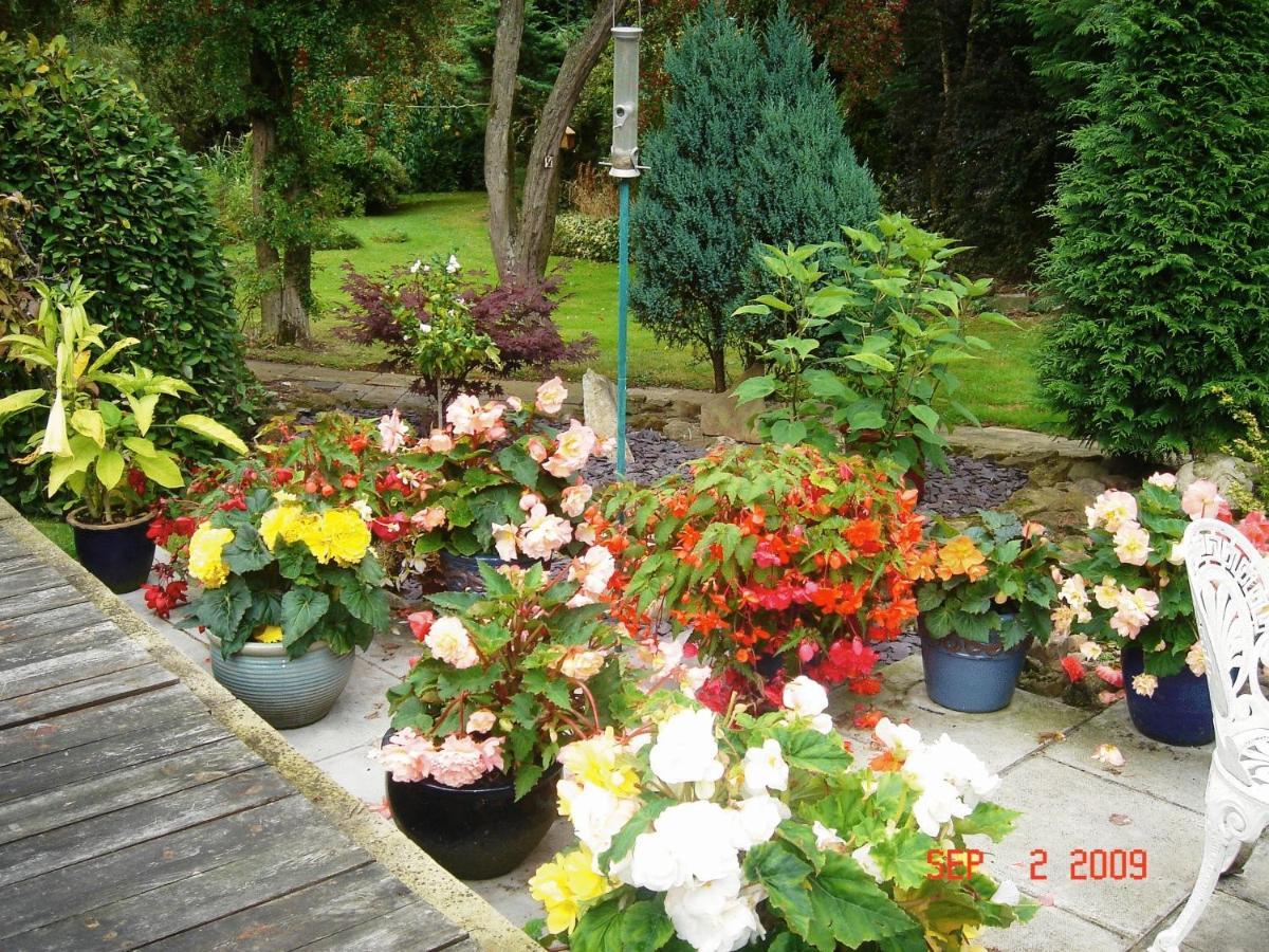 The Willows Bed & Breakfast York Exterior foto