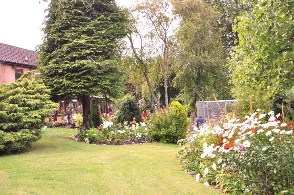 The Willows Bed & Breakfast York Exterior foto
