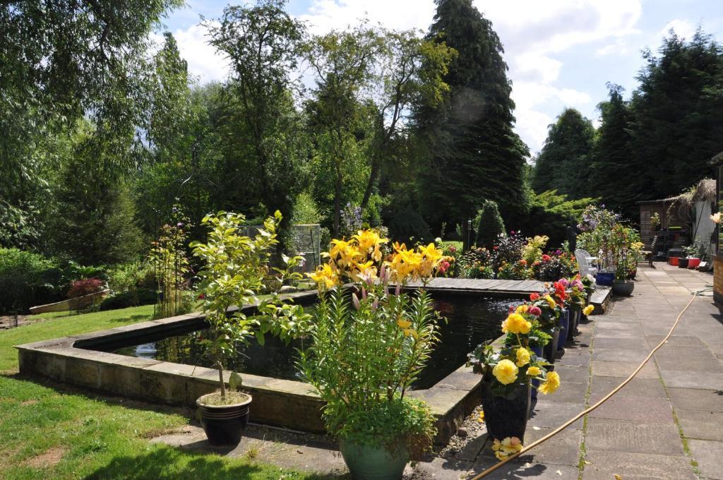 The Willows Bed & Breakfast York Exterior foto